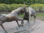 DSCN3580