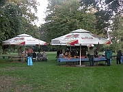 picnic