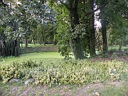 venue