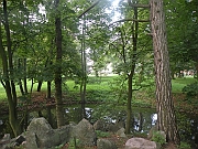 DSCN3676