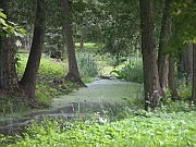 DSCN3737