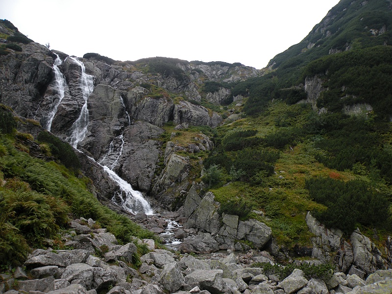 DSCN8668.JPG