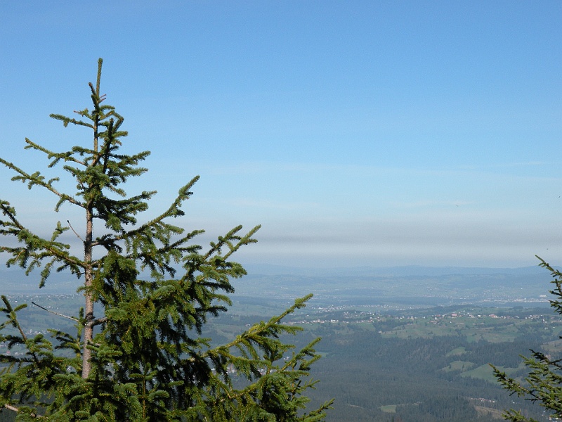 DSCN8834.JPG
