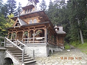 DSCN5231