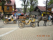 DSCN5243