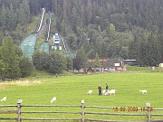 DSCN5270