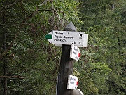 DSCN8665