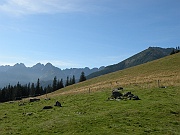 DSCN8818