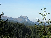 DSCN8835