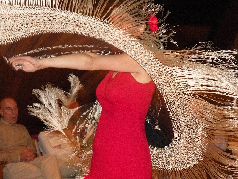DSCN8769.JPG