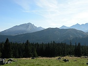 DSCN8816